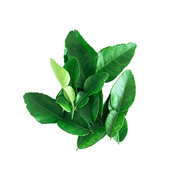L-Teanina