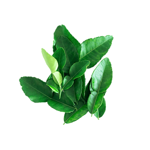 L-Teanina